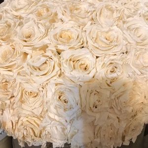 Meet your Posher, Paulette